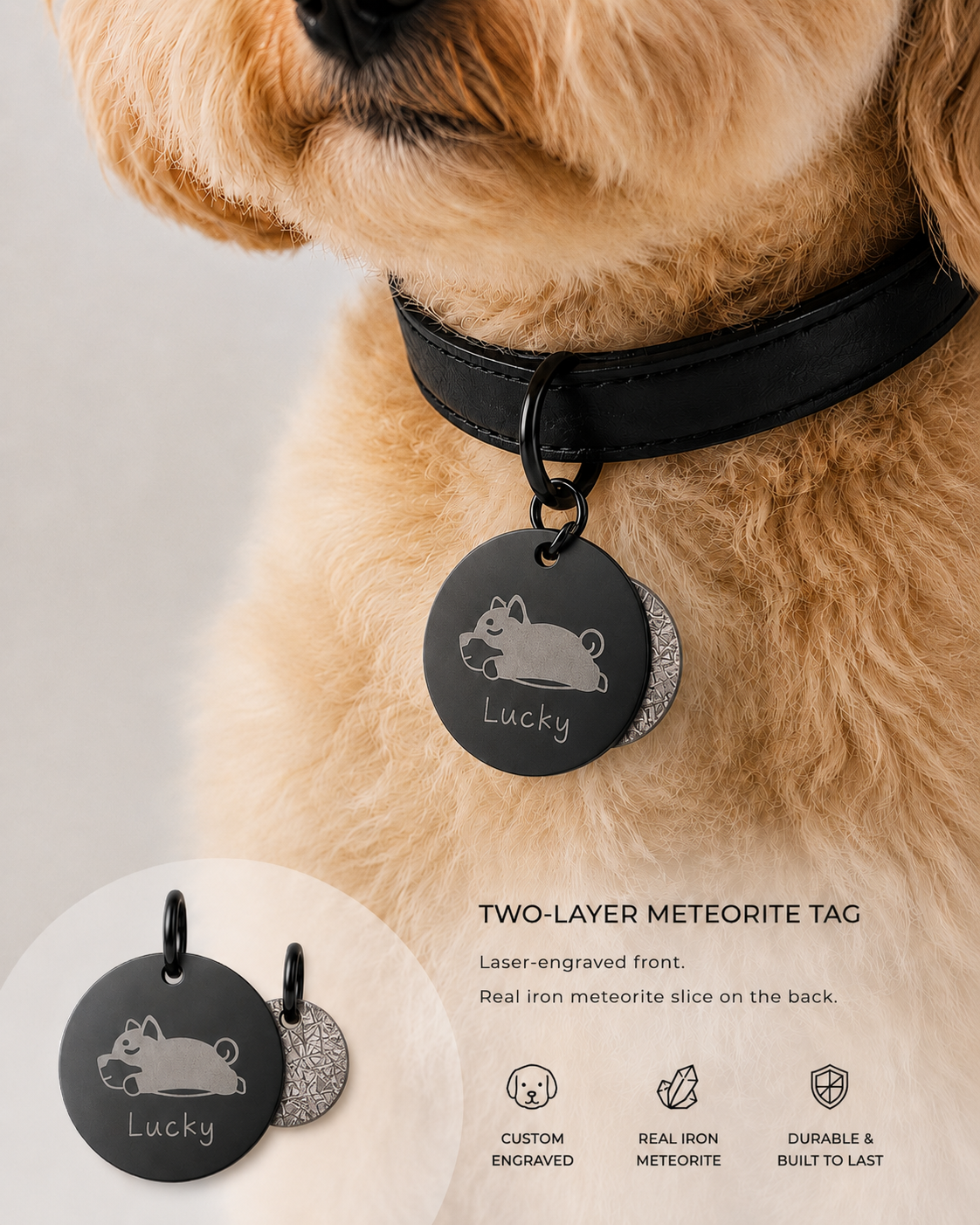 Two-layer custom pet tag with engraved pet portrait and real iron meteorite slice